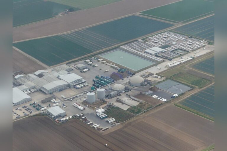 Greens urge government to buy closing McCain factory