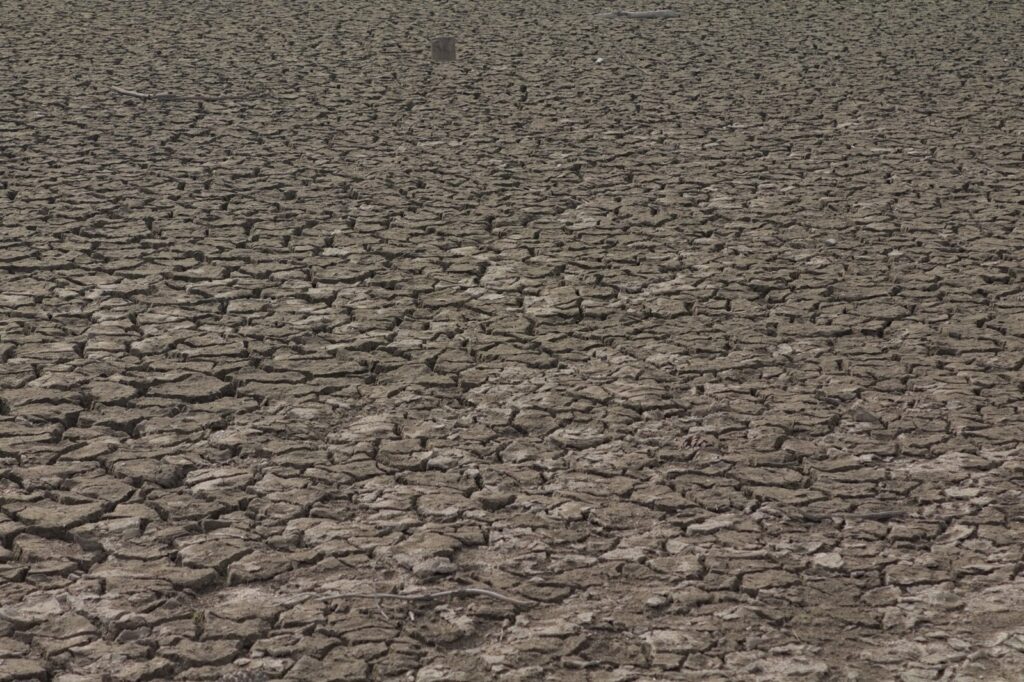El Niño and Iran War Drive Agricultural Commodity Prices to New Highs