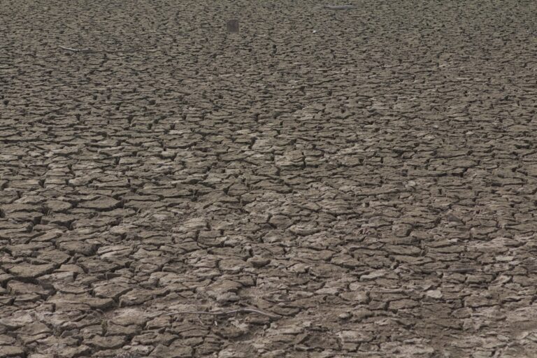 El Niño and Iran War Drive Agricultural Commodity Prices to New Highs