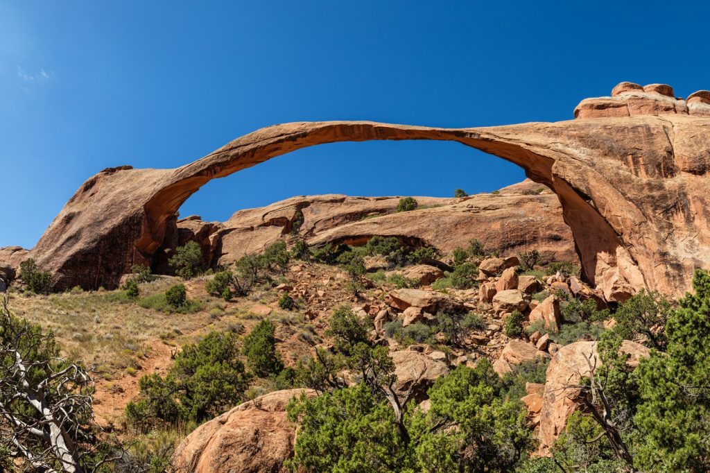 How Utah Court Builders Ponzi Scheme Exposes Local Fitness Industry Fraud Risks