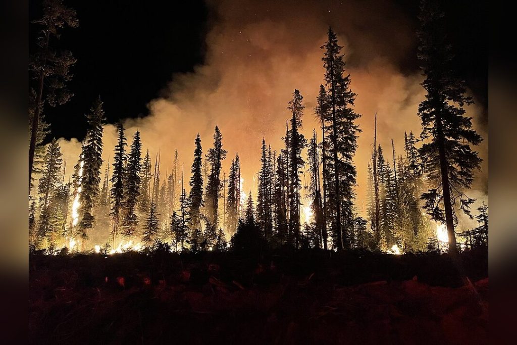 Wildfires
